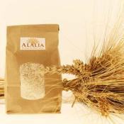 Farine de blé Corse Alalia