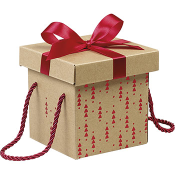 Boîte coffret carton kraft carré décor rouge noeud satin/cordelettes coloris rouge 12cm