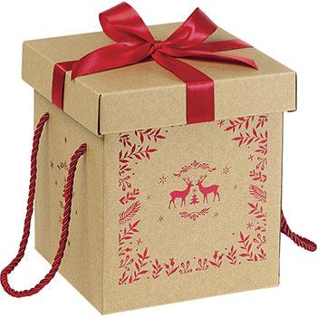 Boîte coffret carton kraft décor renne rouge noeud et cordelettes rouges 18 cm